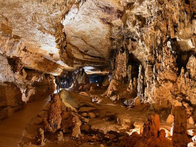 Grottes Arcy sur Cure